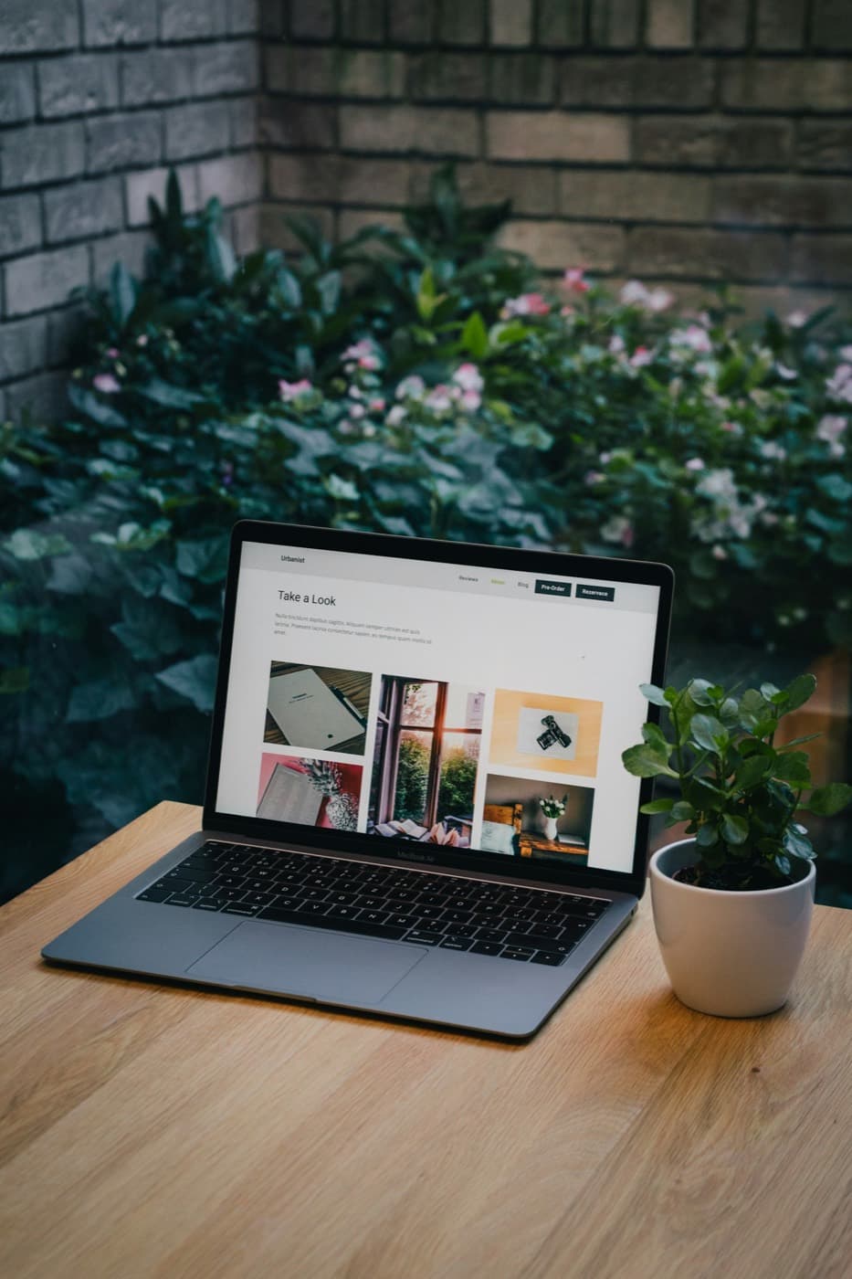 Photographer Showcase